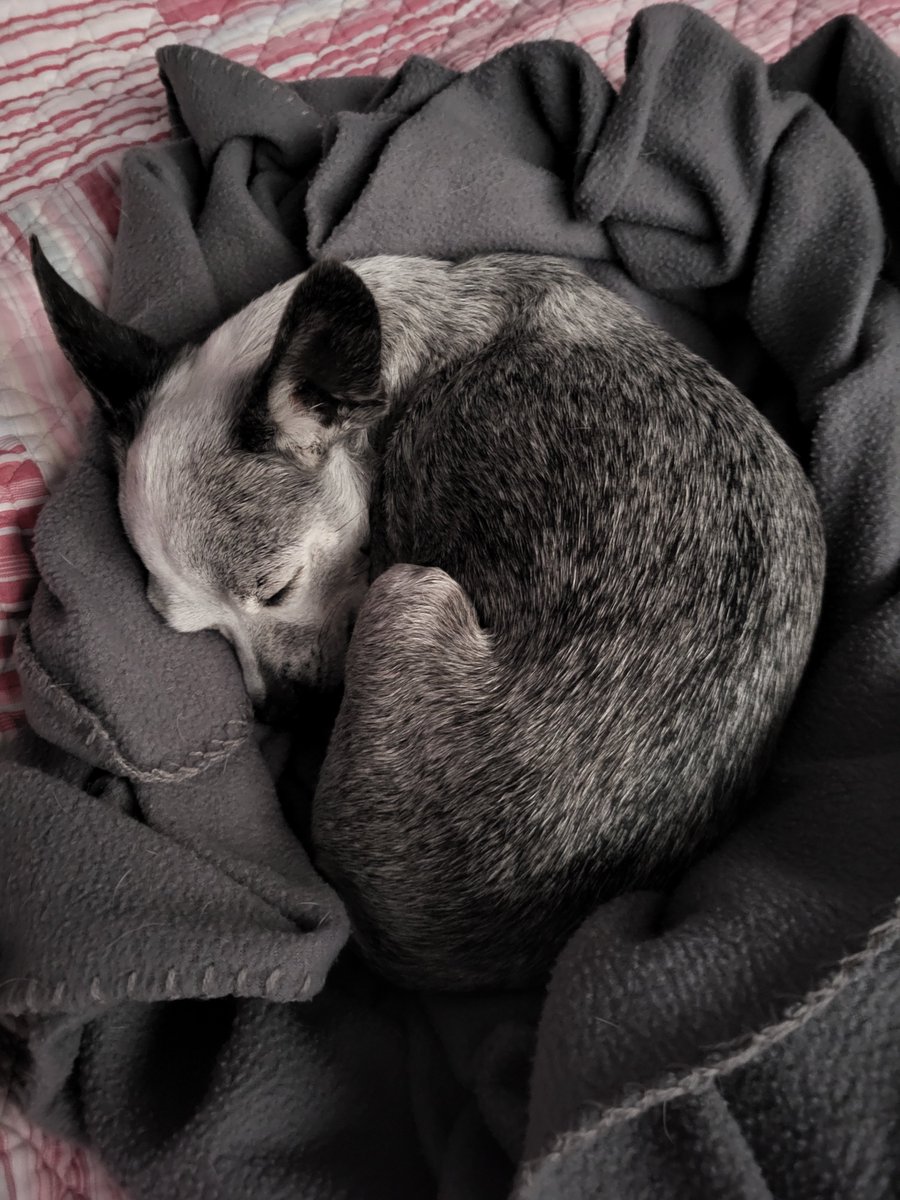 Cathie McKinnon tweet media