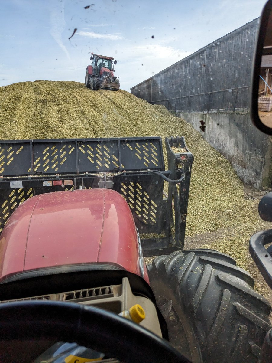 Definition of optimism, when the chopper driver rings to ask how much more you want " another 20 acres ,no problem " .. bloody idiot