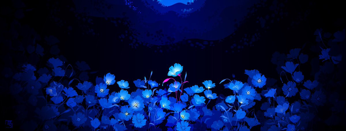 flower water ripples no humans blue flower black background blue theme general  illustration images