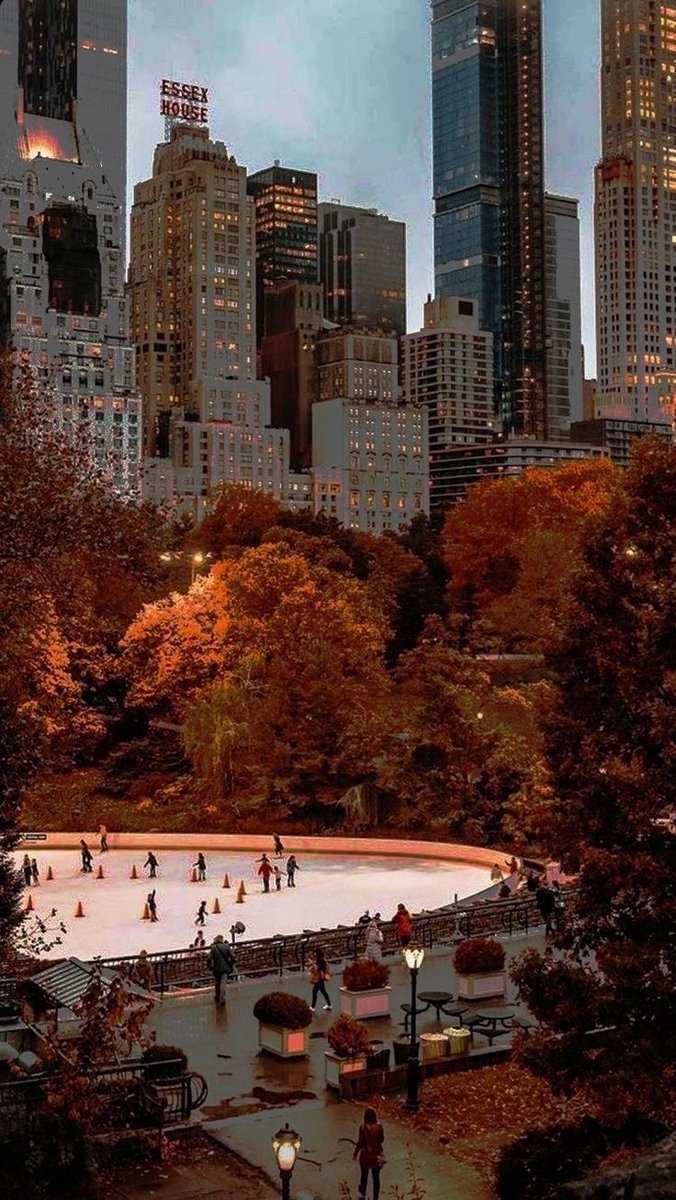 OfficialPLT's tweet photo. Autumn in New York 🍂🤩 https://t.co/97gQuK79zQ