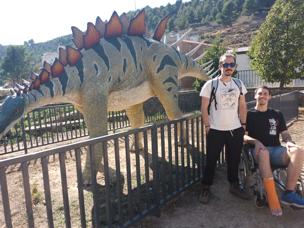 Tremendas jornadas en la SEP hablando de mis veganos del carbonífero, un placer y sobre todo muchas gracias a mi porteador personal @maillo150 y a todos los que han participado en el desplazamiento de mi bólido/silla, no se os olvidará <a href="/Sepaleontologia/">Sepaleontologia</a> 
#SEP2023 #SEPValencia