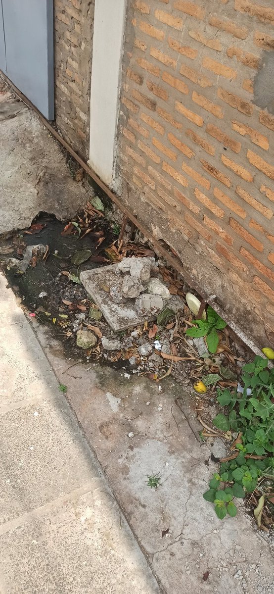 Sael68's tweet photo. @EssapSA Reiteración del  reclamo registrado con el código: INT-2023-110146 que fue mal hecho en fecha 05/09/23.
Urge atención @EssapSA jamás vinieron https://t.co/QOYwhKMUZ4