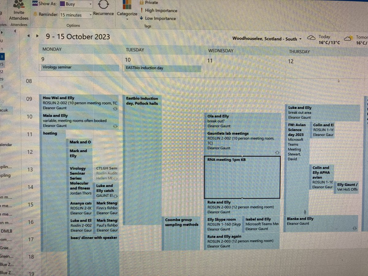 Elly.Gaunt_lab 💙 tweet media