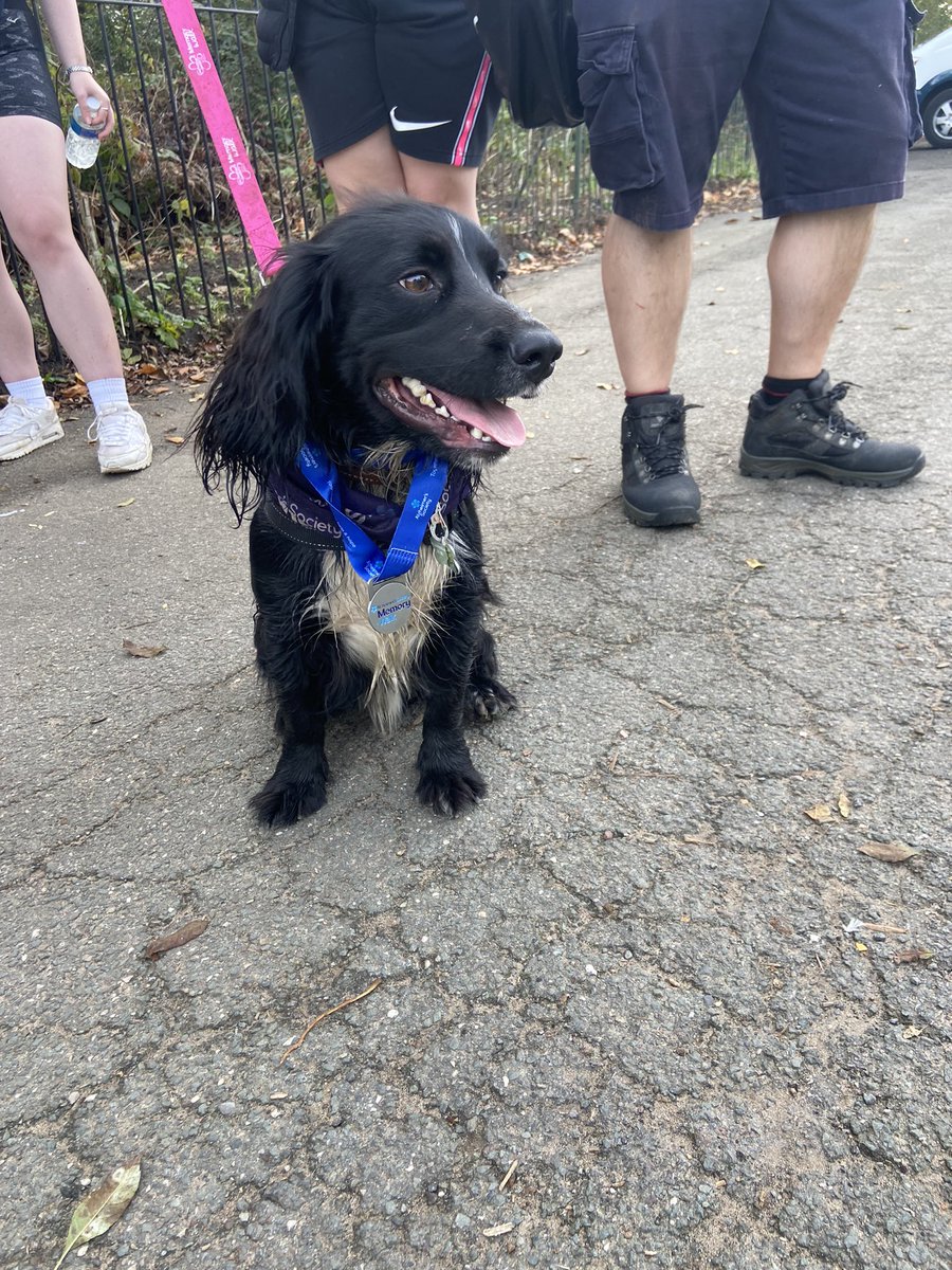 Carla Buckley (@nursecarlapage) on Twitter photo Had a lovely time at heaton park completing the memory walk for <a href="/alzheimerssoc/">Alzheimer's Society</a> today with <a href="/PsychPharmSte/">🔰Steve Buckley🔰</a> <a href="/hoskison_james/">James Hoskison</a> the kids & the dog. Had a lovely time at heaton park completing the memory walk for <a href="/alzheimerssoc/">Alzheimer's Society</a> today with <a href="/PsychPharmSte/">🔰Steve Buckley🔰</a> <a href="/hoskison_james/">James Hoskison</a> the kids & the dog.