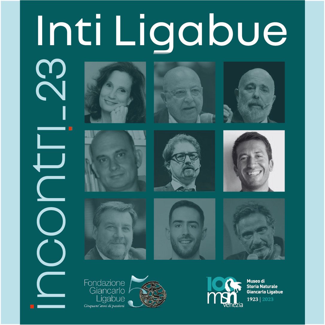 MSN Venezia tweet media