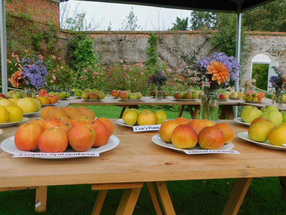 IanW1985's tweet photo. #AppleDay at #GunbyHall near #skegness today well worth a visit as the #garden is also looking great #loveukweather @looknorthBBC @kerriegosneyTV @EmmaJessonTV https://t.co/WLHPQ2E7IV