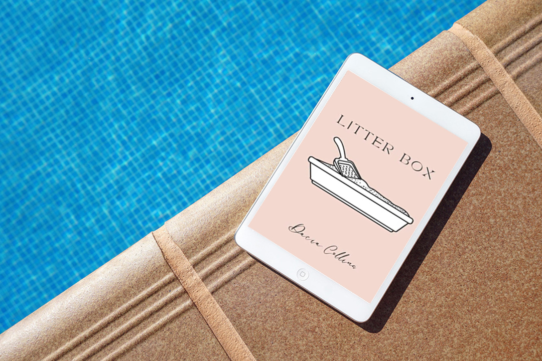 quotesasimage's tweet image. "Litterbox" is a poignant collection of poetry, weaving through various emotions felt during heartache. Read "Litter Box" now. #Inspirational #Collection #FirstBook  Buy Now --&amp;gt; allauthor.com/amazon/79797/