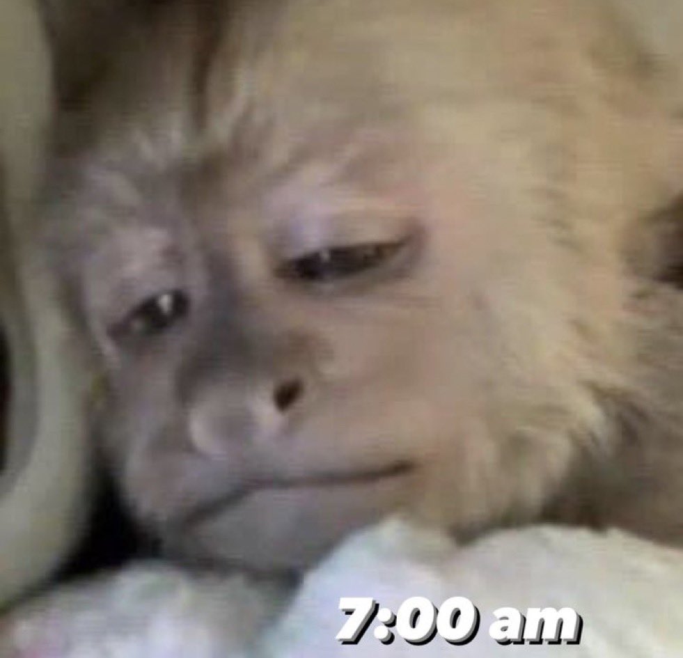 El domingo me voy a despertar hasta el medio día para descansar.