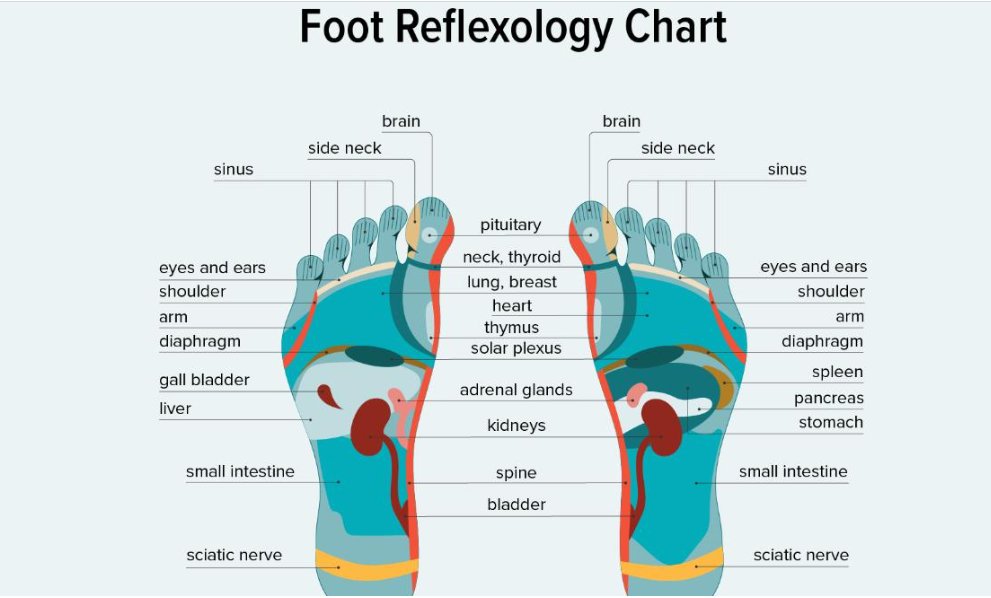 tharejaarun's tweet photo. #Astrology: 12th House 
12th house #significators (Karkatava) 
-Body Parts 
left eye 
feet 
lymph system 
wounds from accidents https://t.co/Kffy8u8DyP
