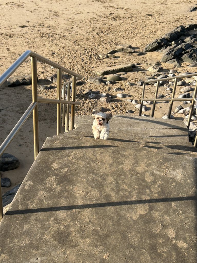 Ronnie & Reggie tweet media