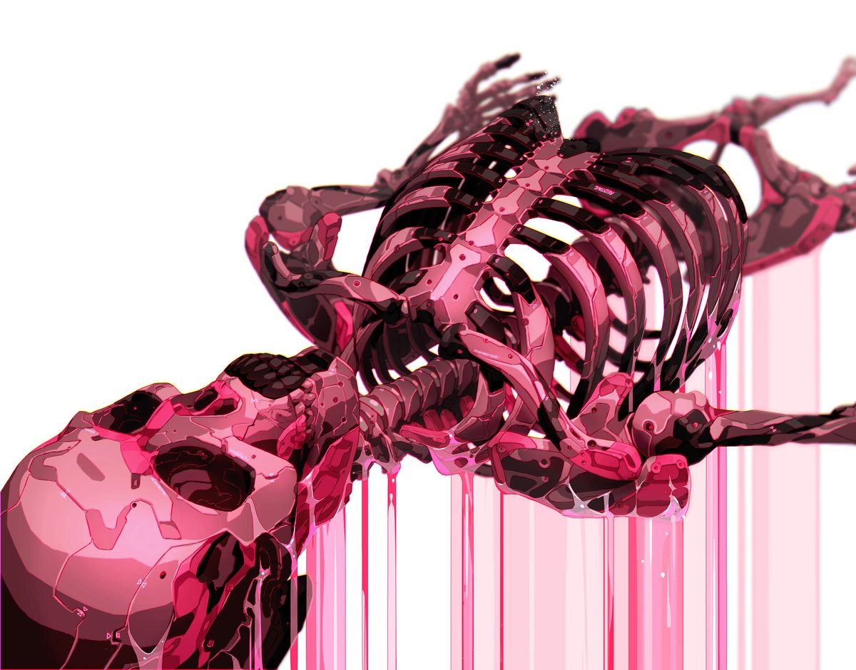 skeleton bone spine white background ribs solo no humans  illustration images