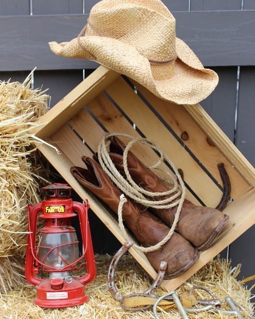 #PostalesDeCampo📸