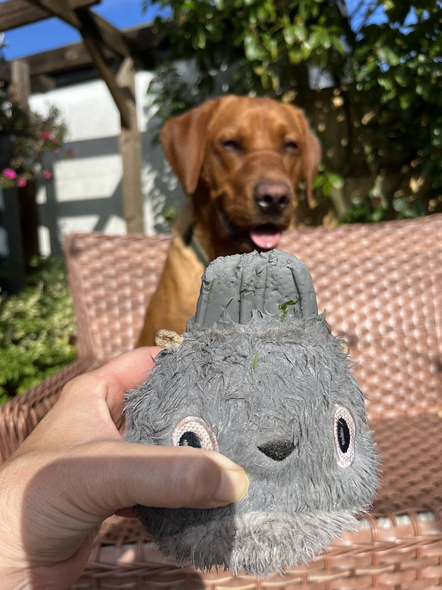 RodwellSam's tweet image. I guess it didn’t specify which kind of ‘Lab tested’ #dogsofBARK