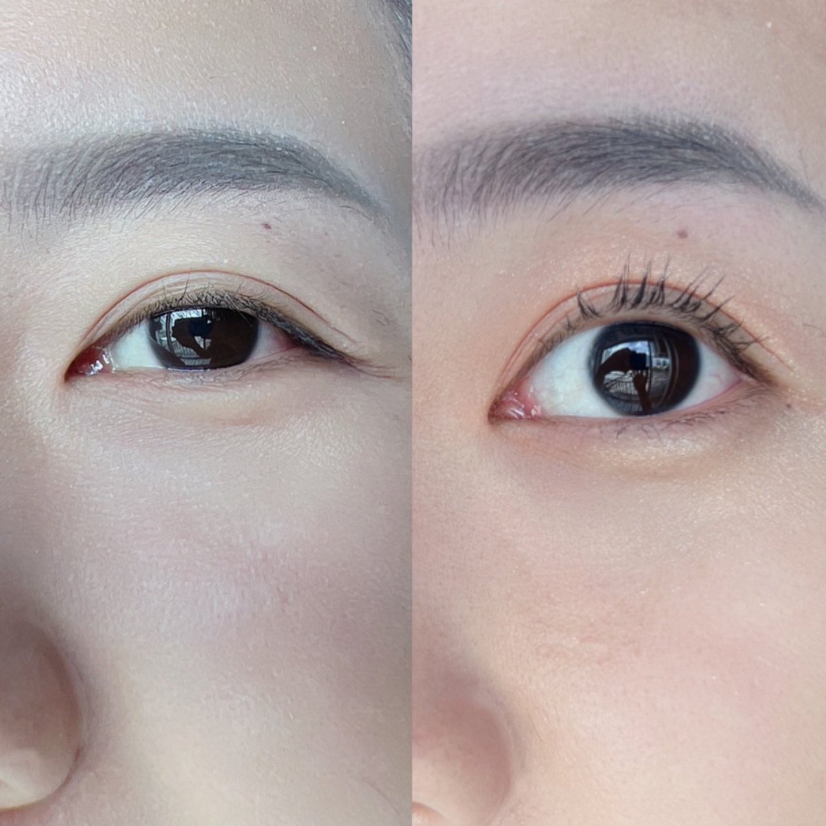 ʟᴏsᴛ ᴡᴏʀʟᴅ. tweet media