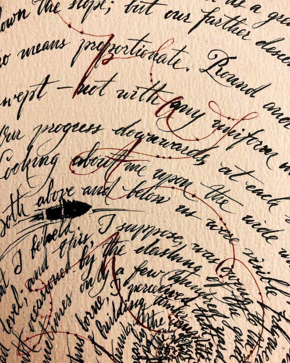 minisiegfried tweet media