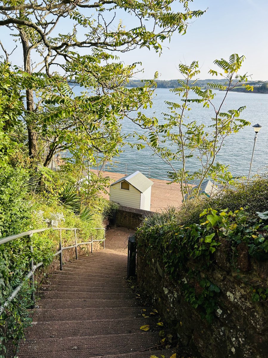 LorraineInglisD's tweet photo. Paignton looking tropical 🌊🌴

#photography #devon #ThePhotoHour #paignton #naturephotography #beachlife #Stormhour #daysoutindevon https://t.co/VdXzFPoLUC