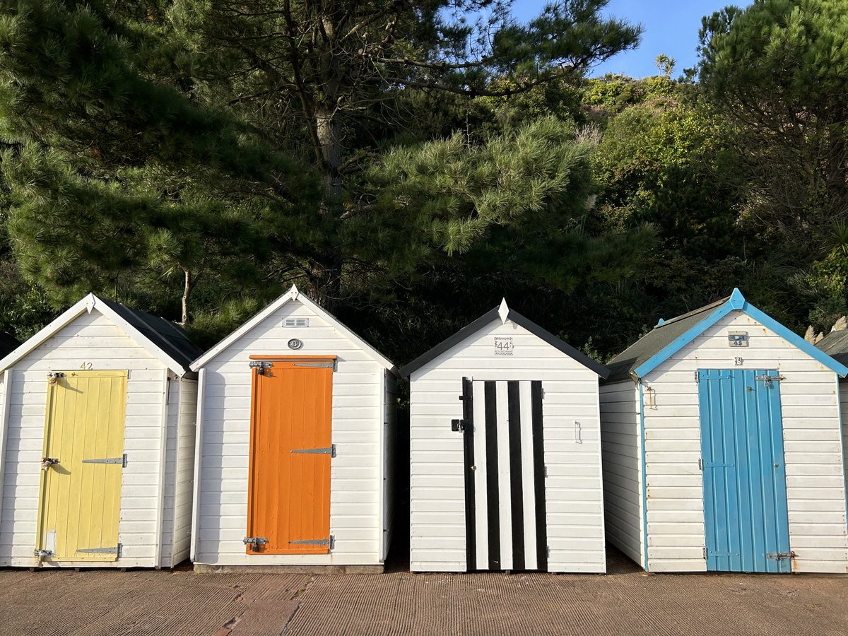 LorraineInglisD's tweet photo. Paignton looking tropical 🌊🌴

#photography #devon #ThePhotoHour #paignton #naturephotography #beachlife #Stormhour #daysoutindevon https://t.co/VdXzFPoLUC
