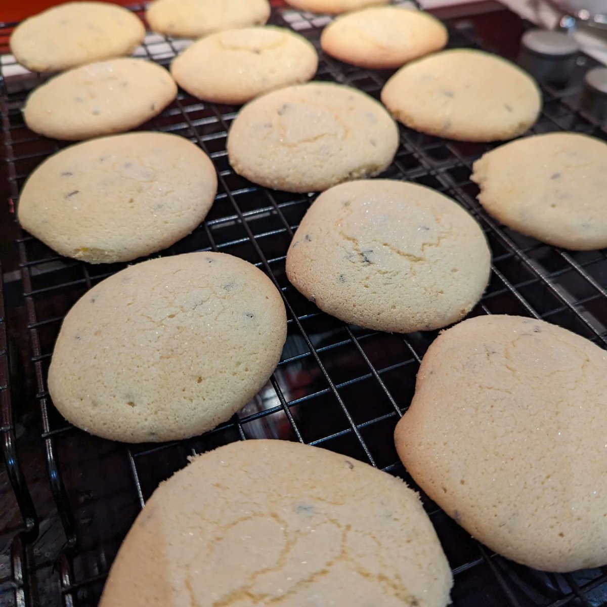 kjlindsay's tweet image. The second recipe I tried for the #TheGreatRareBooksBakeOff was the Sugar Bisket recipe, as I was attracted by the rosewater 🌹 and caraway seeds! The recipe is from a manuscript from the Barclay family, prominent Scottish Quakers  #BakeMonash monash.edu/library/rare-b…