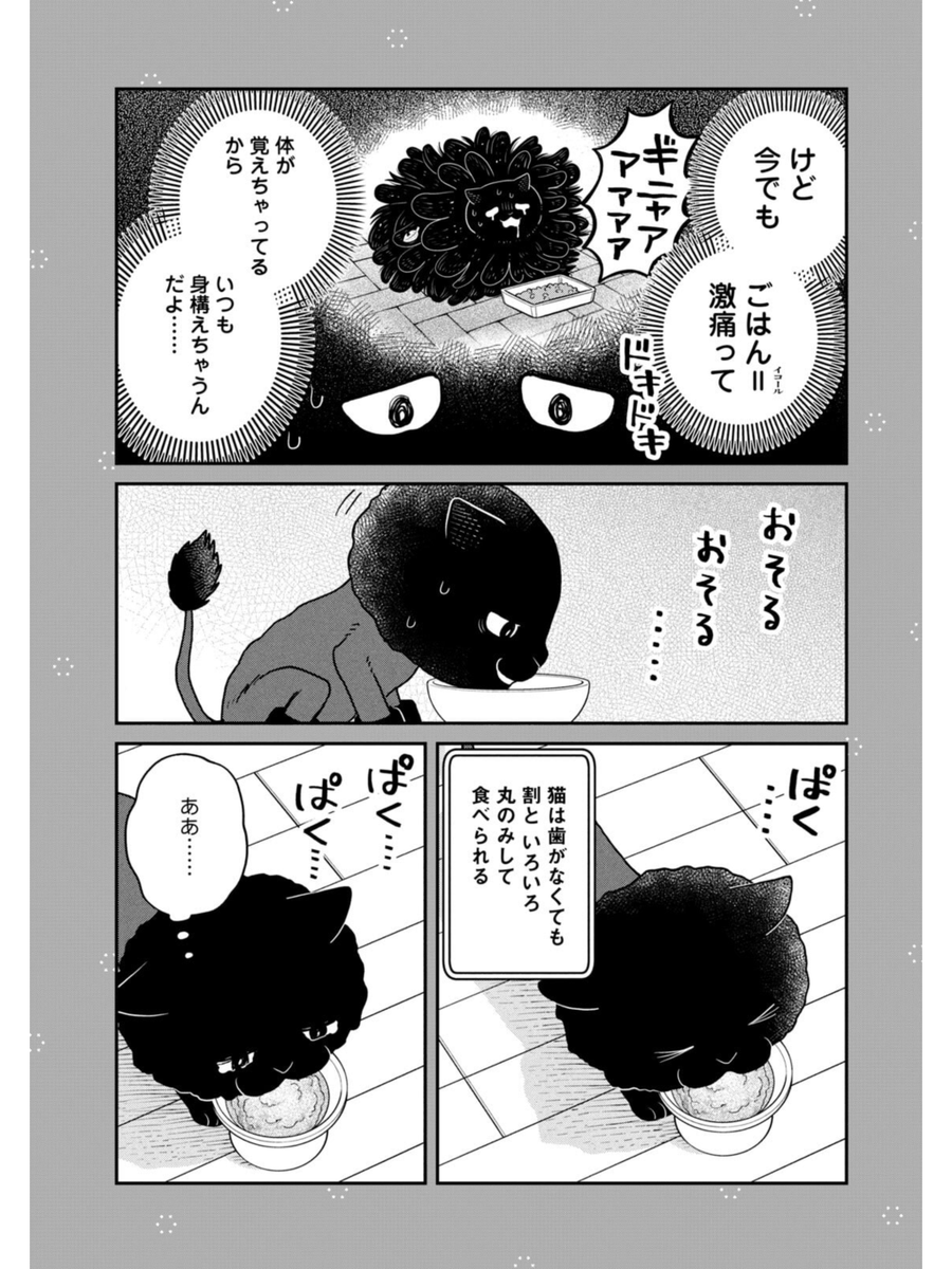 保護猫たちのごはんタイム #ツレ猫マルルとハチ #マルルとハチ #漫画が読めるハッシュタグ