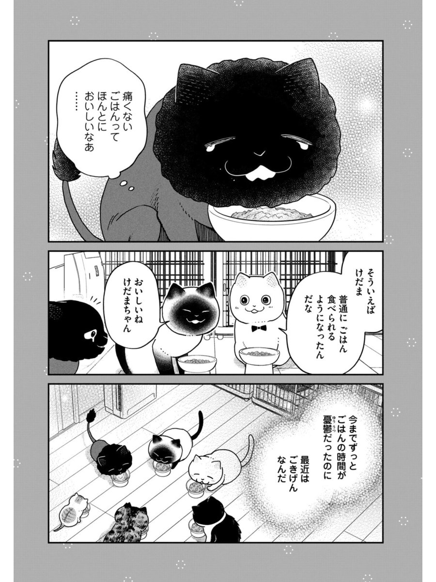保護猫たちのごはんタイム #ツレ猫マルルとハチ #マルルとハチ #漫画が読めるハッシュタグ