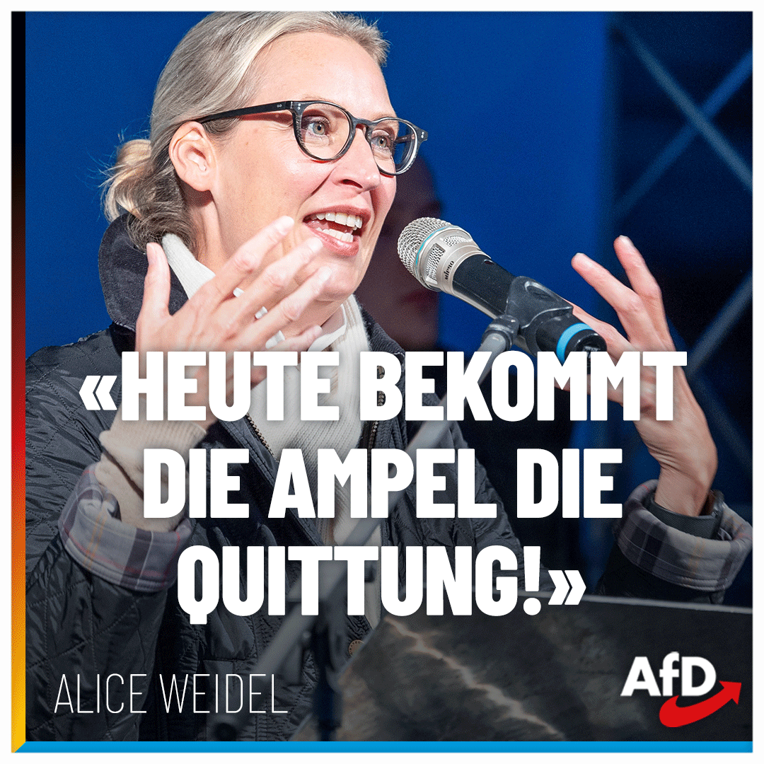 Alice Weidel tweet media
