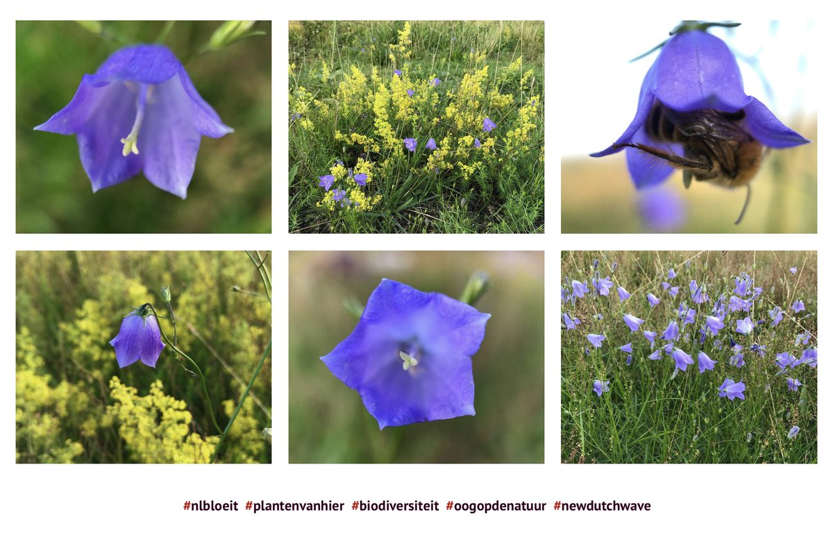 <a href="/NatureTodayNL/">NatureTodayNL</a>