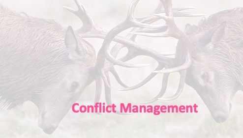 How's your weekend going? Had any conflict? Are there any conversations you're not looking forward to next week? Our 'Conflict Management and Challenging Behaviour at Work' online course on Thursday 16th Nov will help you improve. Tickets £159 or less.