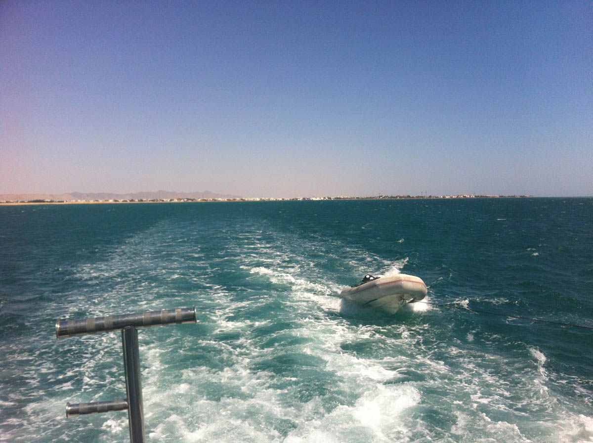 RedSeaSafaris's tweet image. Hard to resist the obligatory wake photo when you're excitedly travelling to the first dive site. #TimetoDive #RedSeaSafaris 

#Scuba #Diving #ScubaDiving #RedSea #Egypt #Liveaboards #LiveaboardTravel #LiveaboardHolidays #ScubaTravel #ScubaDiverTravel #DiveTravel