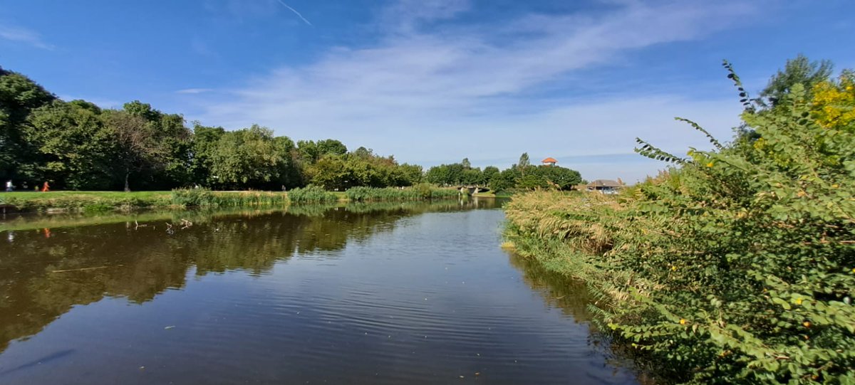 Travel_2Romania's tweet photo. Intre Codrii Vlăsiei și Delta Neajlovului, la Comana, județul #Giurgiu #Comana
🌿🍀💙💙🌿🍀
@CoraStavarescu
#DiscoverRomania https://t.co/UVCJnEri4m