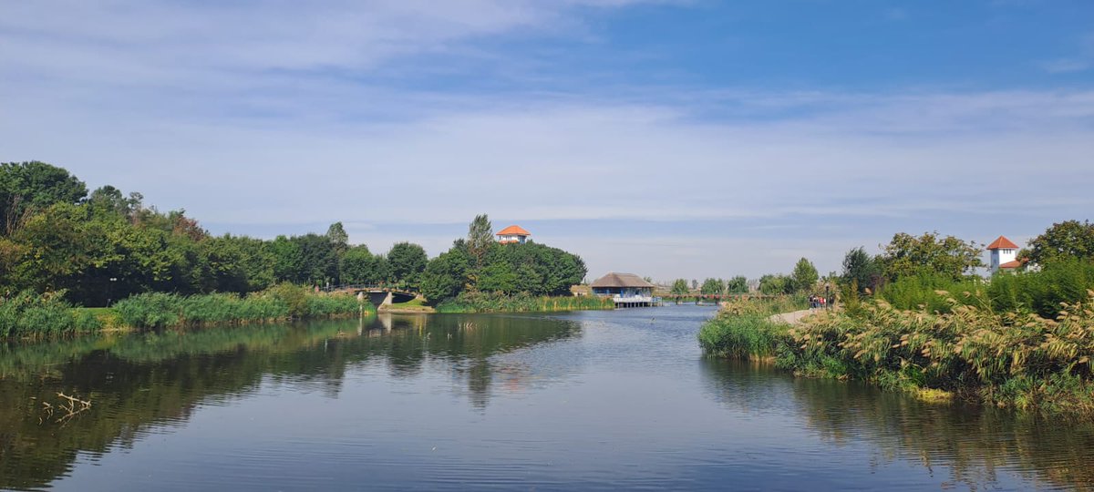 Travel_2Romania's tweet photo. Intre Codrii Vlăsiei și Delta Neajlovului, la Comana, județul #Giurgiu #Comana
🌿🍀💙💙🌿🍀
@CoraStavarescu
#DiscoverRomania https://t.co/UVCJnEri4m