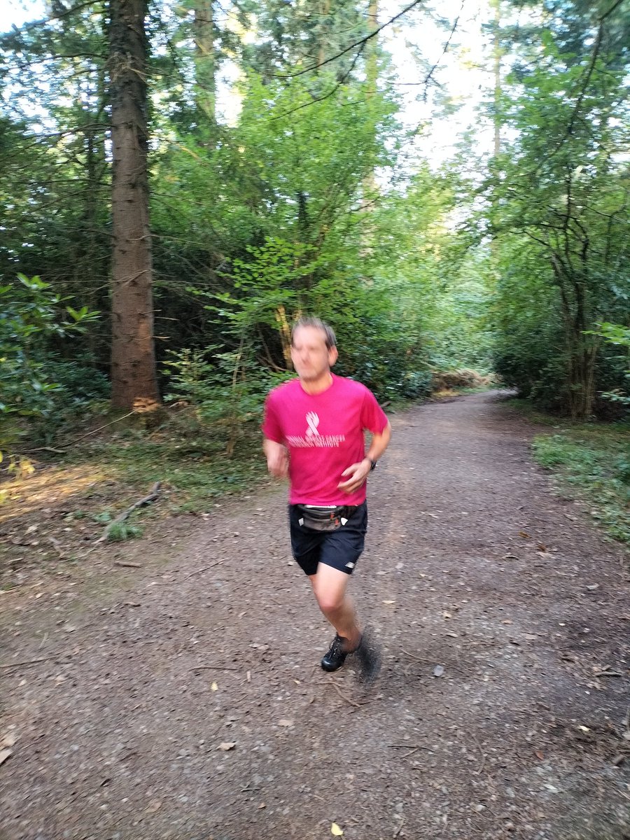 It's going to be a struggle but #Dublinmarathon here I come.  Had a scenic morning  run around the  Longleat Forest and Shearwater Lake. 

Research Matters. Help  spread the word . Share this post to raise much needed  funds for Breast Cancer Research. 
breastcancerresearch.enthuse.com/pf/liam-gilmor…