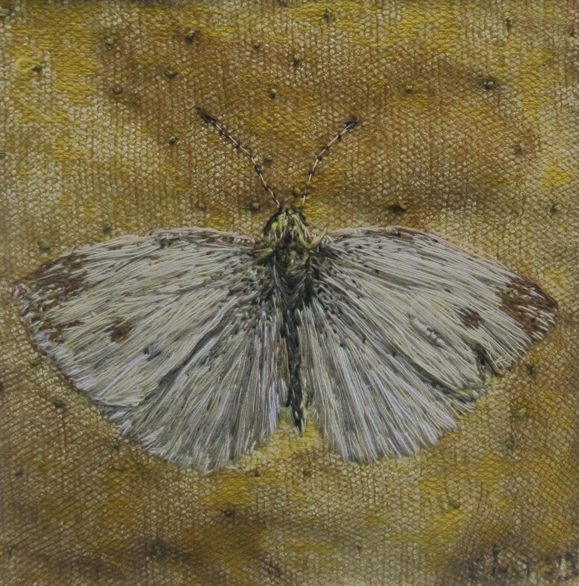 Wood White Butterfly original hand stitched thread painting artwork. Comes in a white mount. emilytull.co.uk/store/p195/woo… #EarlyBiz #mhhsbd #WildlifeArt