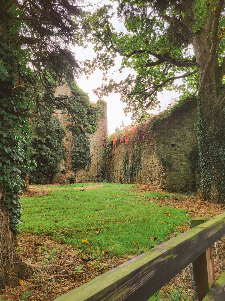 Geraldine Mcloughlin tweet media