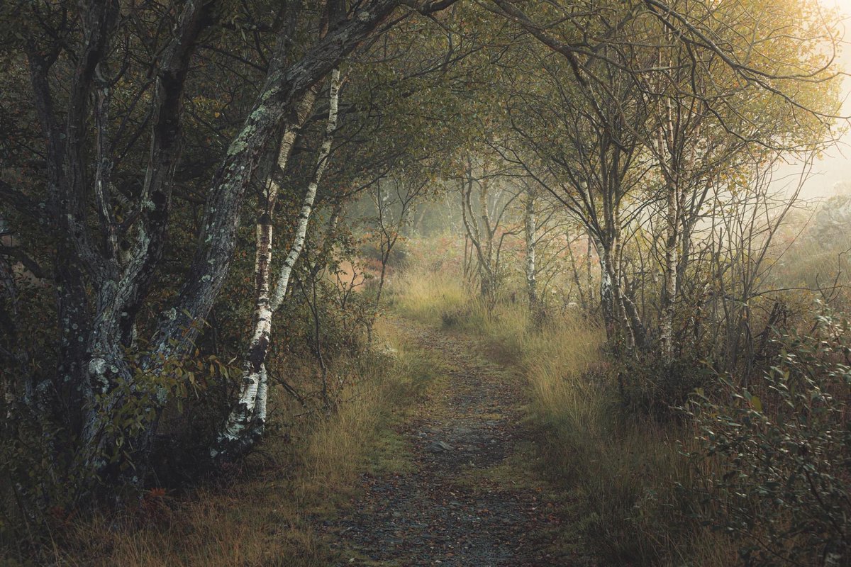 I’m excited to announce that me and <a href="/MarcRobbinsPho1/">Marc Robbins Photography</a> are going to be hosting a series of photography workshops in 2024.

Two one day workshops on 6th &amp; 7th April.

And an exciting 4 night, 5 day workshop &amp; creative retreat in November.

More info can be found on my website.