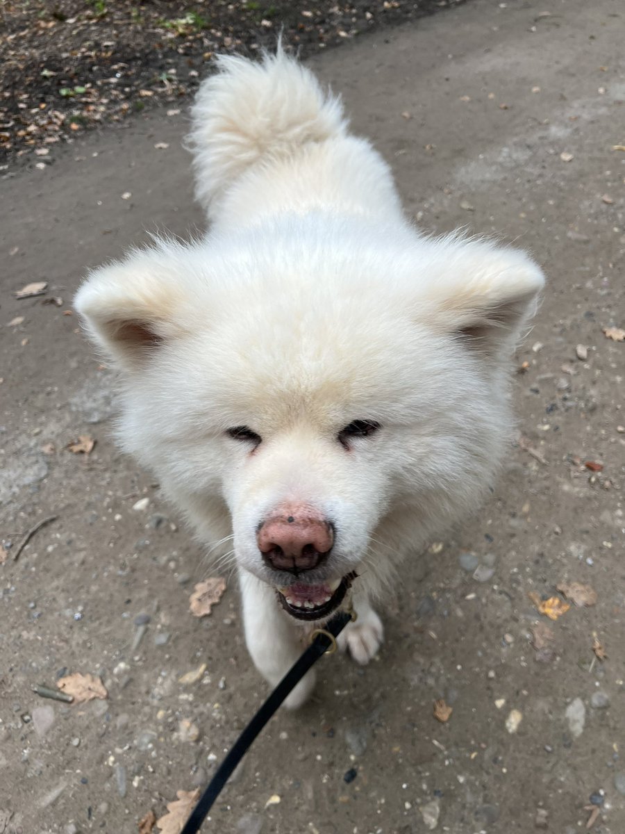 Schönen Sonntag Euch Allen 😎#twitterrudel