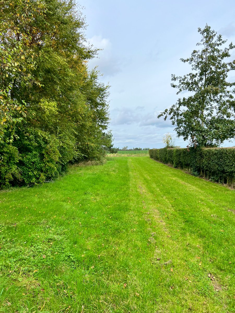 Two pieces of land. One on the left is managed by one of my clients. One on the right, another land owner. Hedges &amp; grass trimmed regularly - little benefit to wildlife. It’s all about the perception of what our landscape should look like. We have the power to create a very