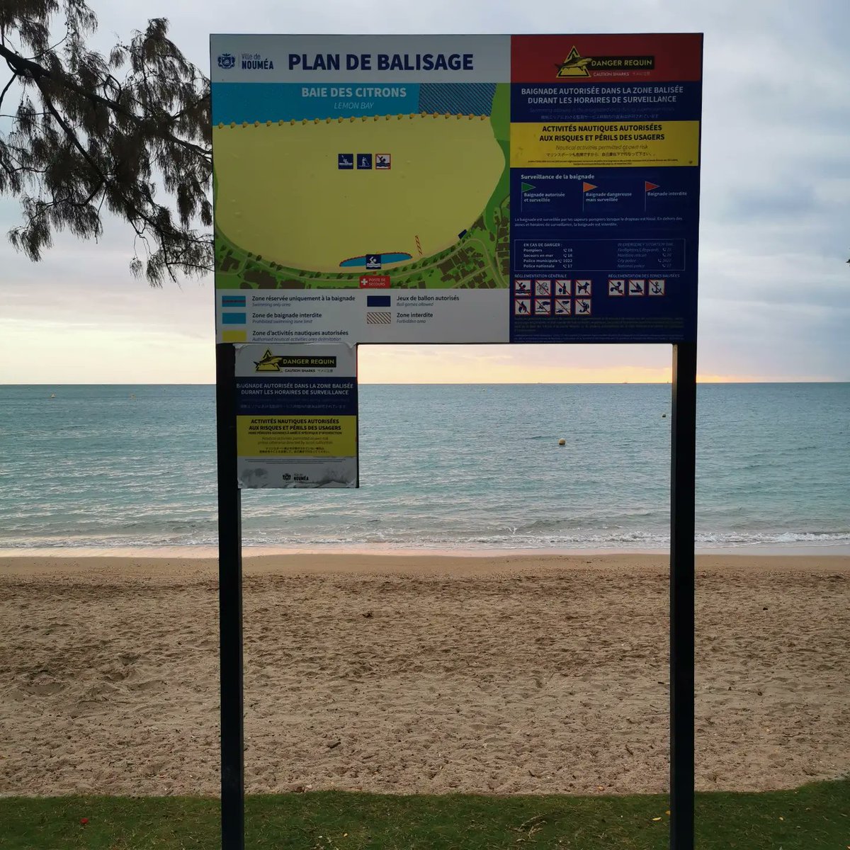 Julienlagom53's tweet image. ➡ Découverte d'un courrier qui m'implante encore davantage ici
➡ Le gouvernement et ses drapeaux 
➡ La plan de PAS baignade ⚠ 🦈 
➡ La flore qui annonce l'été qu'on attend impatiemment, en sweat 😉 

Un dimanche à #Nouméa