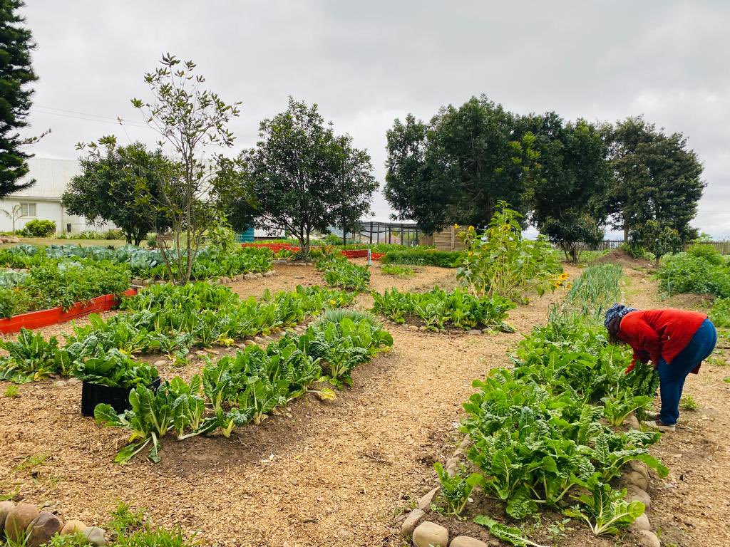 eThekwini Municipality tweet media