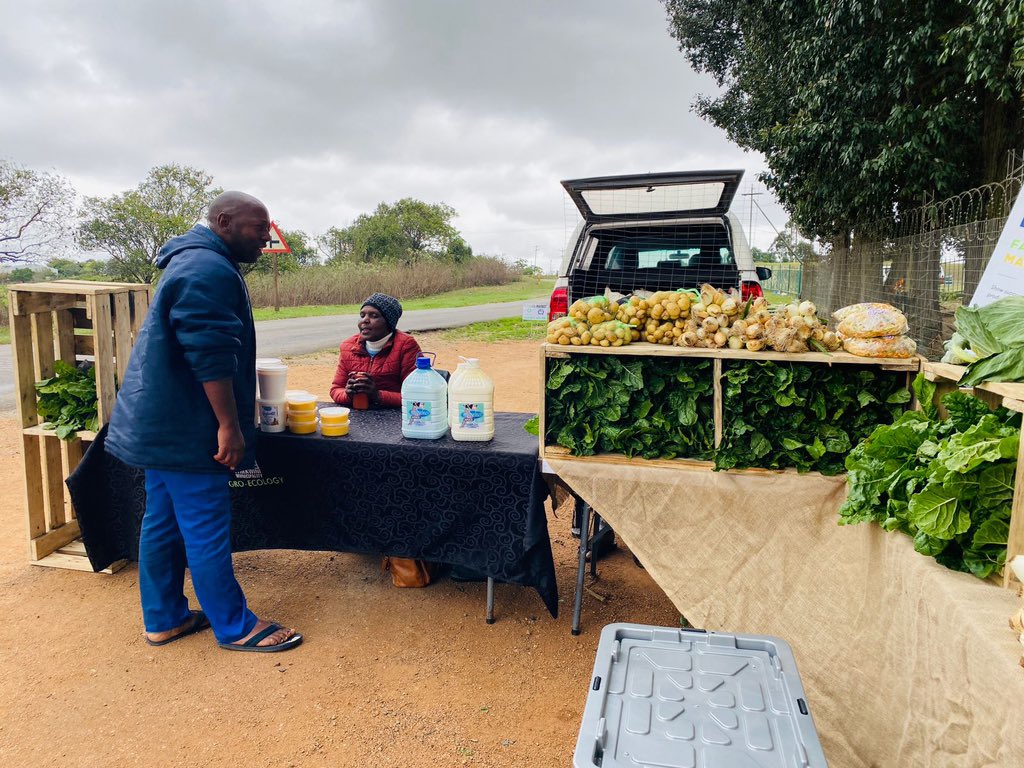 eThekwini Municipality tweet media