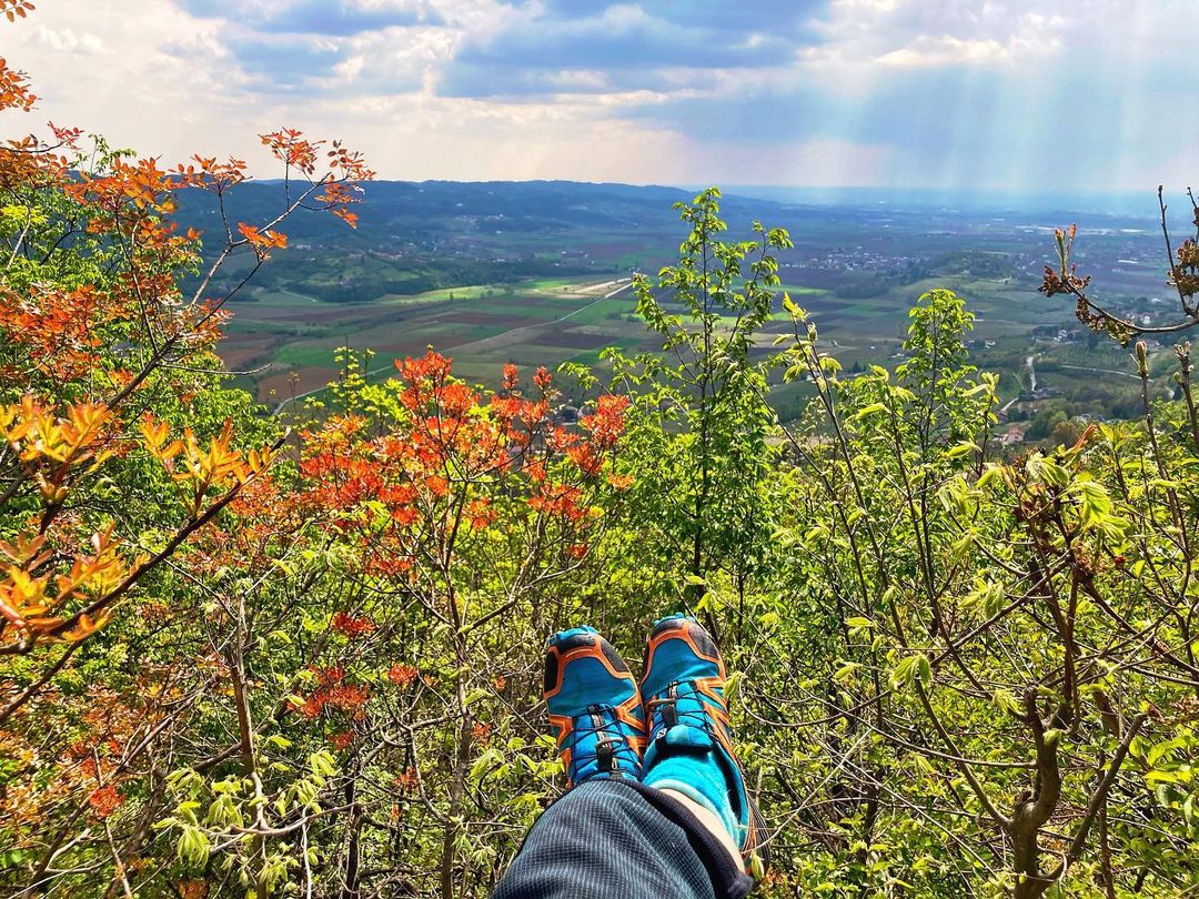 TurismoVeneto's tweet photo. L'Altavia dei Berici è un'esperienza di turismo lento e sostenibile da fare a piedi o in bici, un percorso ad anello di 140 km suddiviso in 11 tratti di saliscendi tra i comuni dei #ColliBerici.
🚵 https://t.co/ZfX6VrOcrN
#Vicenza #VisitVeneto
📸 IG dottmenegozzo https://t.co/0NepFYkx1u