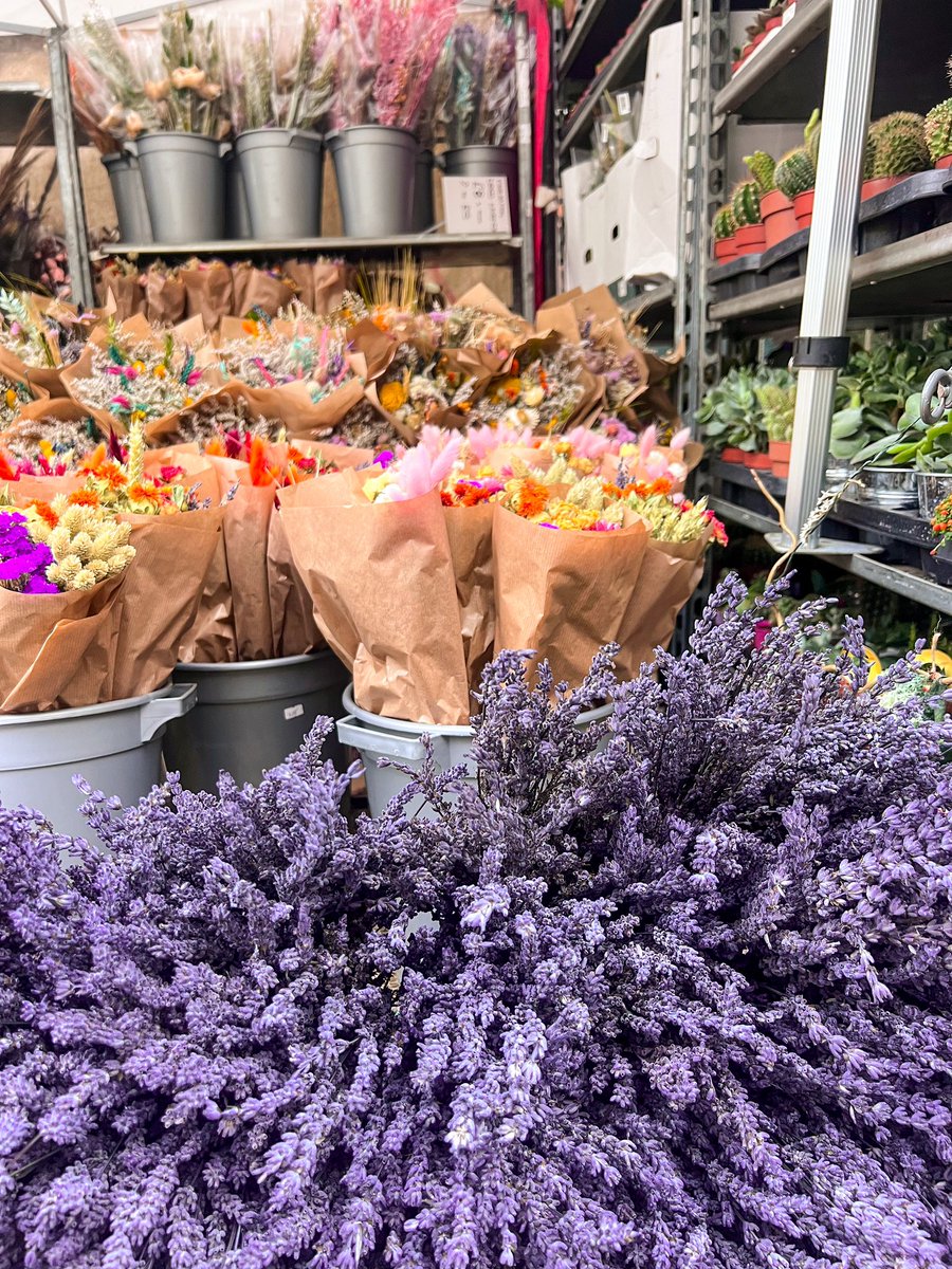 FlyingScotsGirl's tweet photo. Details of Columbia Road Flower Market 🌼🌸
@VisitEngland @visitlondon @LondONtheinside 
#visitlondon #columbiaroadflowermarket https://t.co/nZnfriAVeX