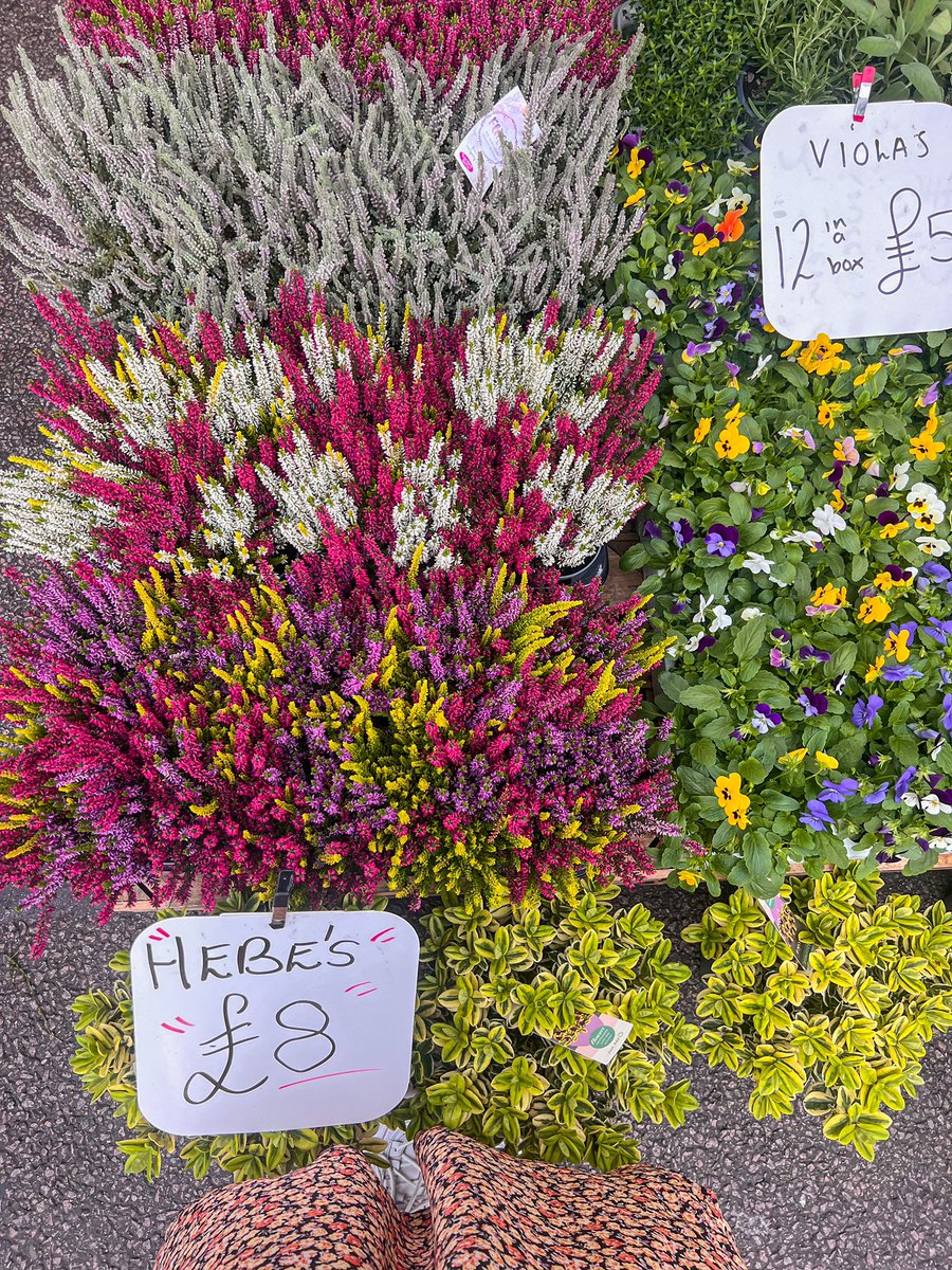 Details of Columbia Road Flower Market 🌼🌸 @VisitEngland @visitlondon @LondONtheinside #visitlondon #columbiaroadflowermarket