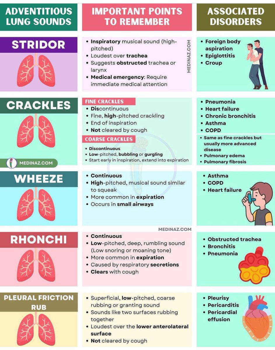 MedicTests.com - Quick Reference: Respiratory Patterns