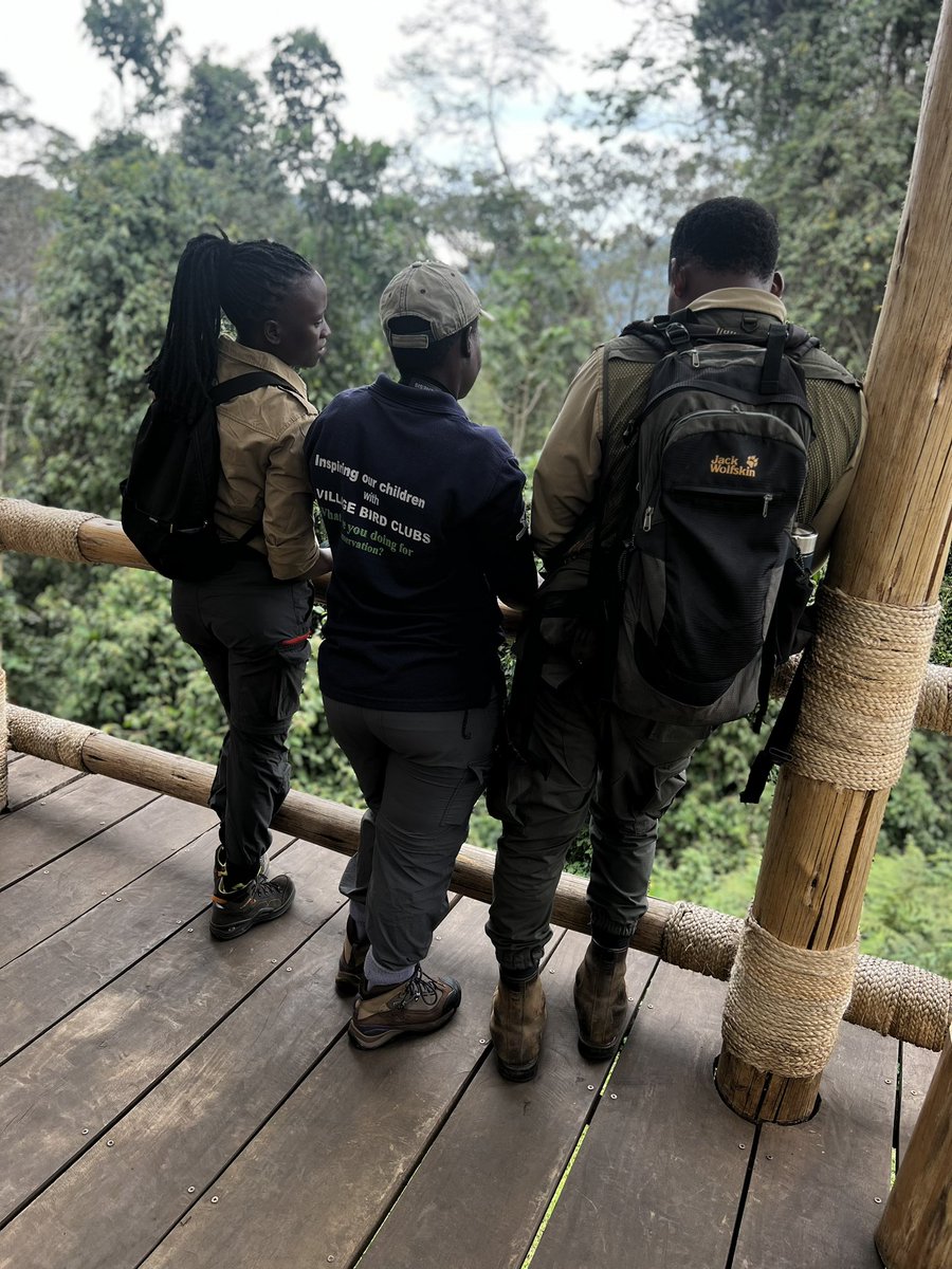 Herbertbirder's tweet photo. What a beautiful day at Nyungwe forest! A Good trail , with a knowledgeable local guide guide! Our new itineraries @UgandaBirder will include Nyungwe forest. See you at @WomenBirders https://t.co/hgsZ4ioaE4