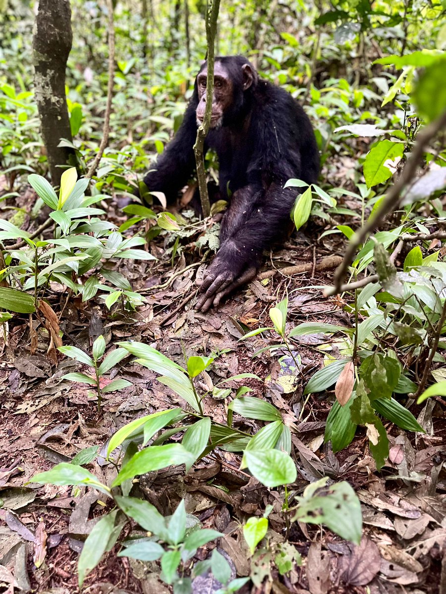 The Pearl of Africa 🇺🇬