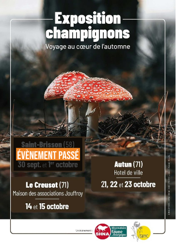 Bourgogne-Franche-Comté Nature tweet media