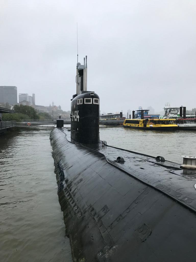 BSN Modern Languages tweet media