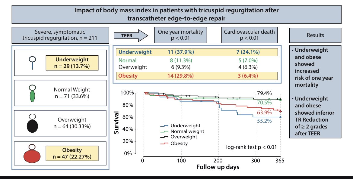 NihalWilde's tweet photo. How BMI impacts T-TEER patients. Our recent publication by @Vogelhuber_J  et al. 

https://t.co/IRrO0Vm2Ym https://t.co/QaAl1YBpQR