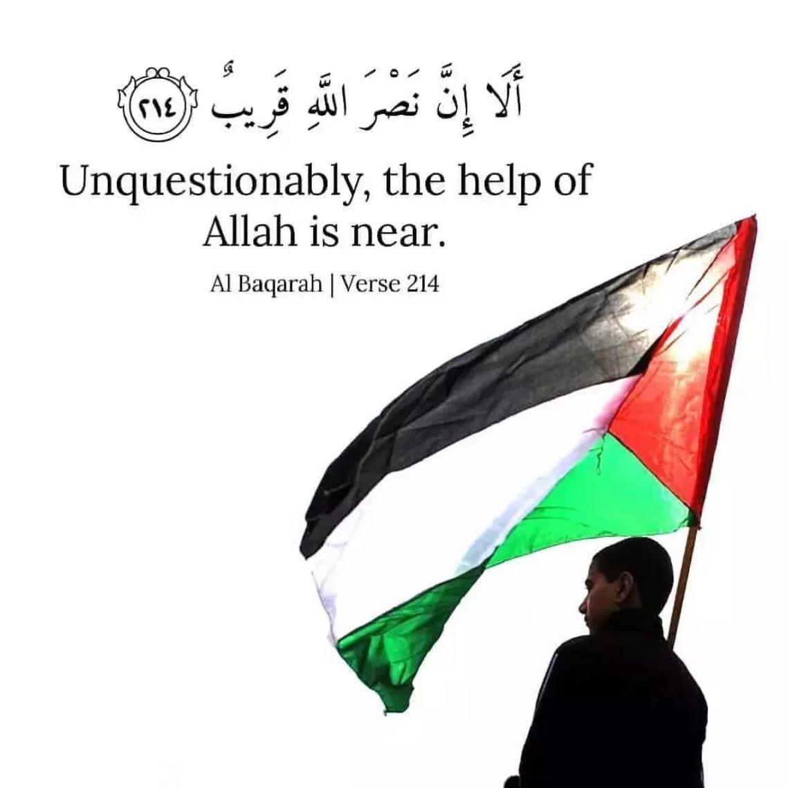 younis786a's tweet photo. “Unquestionably, the help of Allāh is near.”
#Palestinian #FreePalestine #Israel #isalam 🕊️🇵🇸🇵🇸 https://t.co/pyxTENX0xF