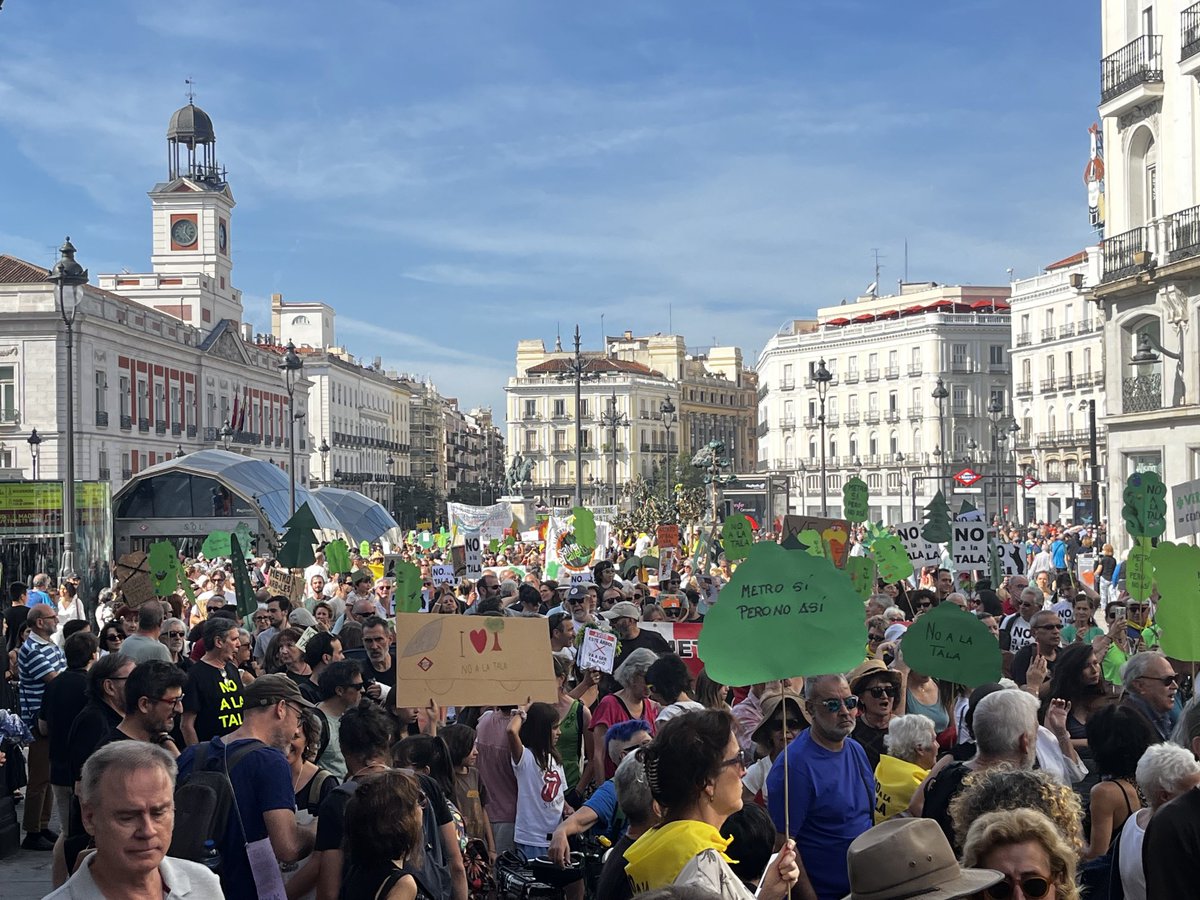 Miles de personas gritan #NoaLaTala! Bajo un sol terrible.. en octubre. #yodefiendoestearbol